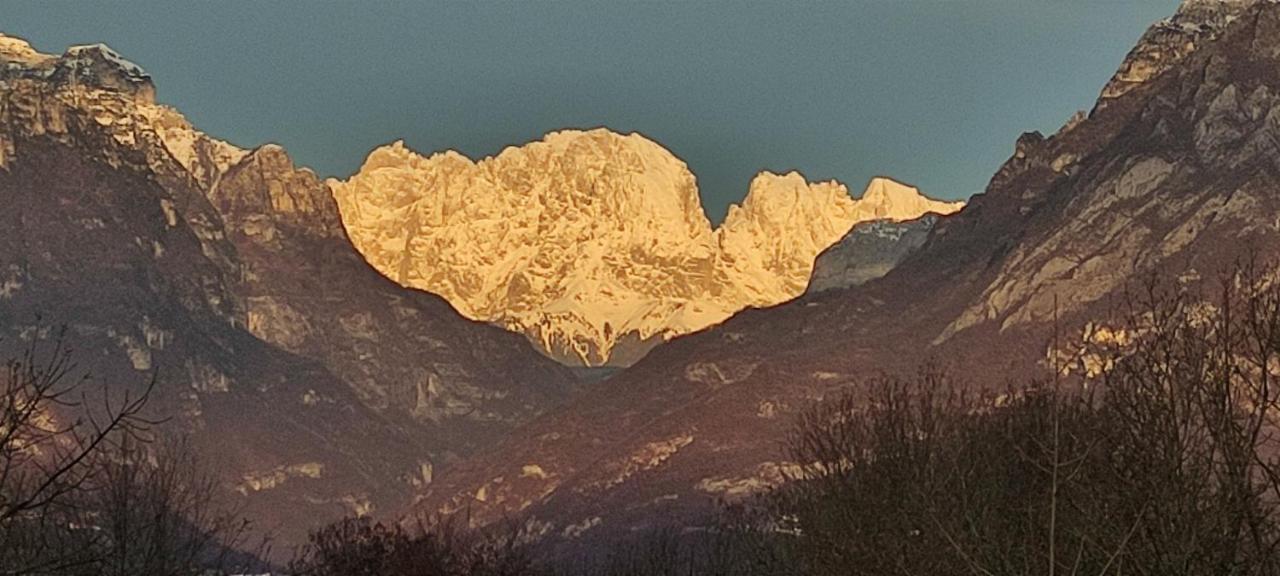 B&B Col Del Vin Belluno Eksteriør billede