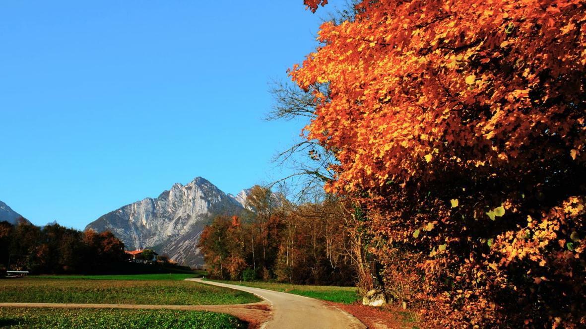 B&B Col Del Vin Belluno Eksteriør billede