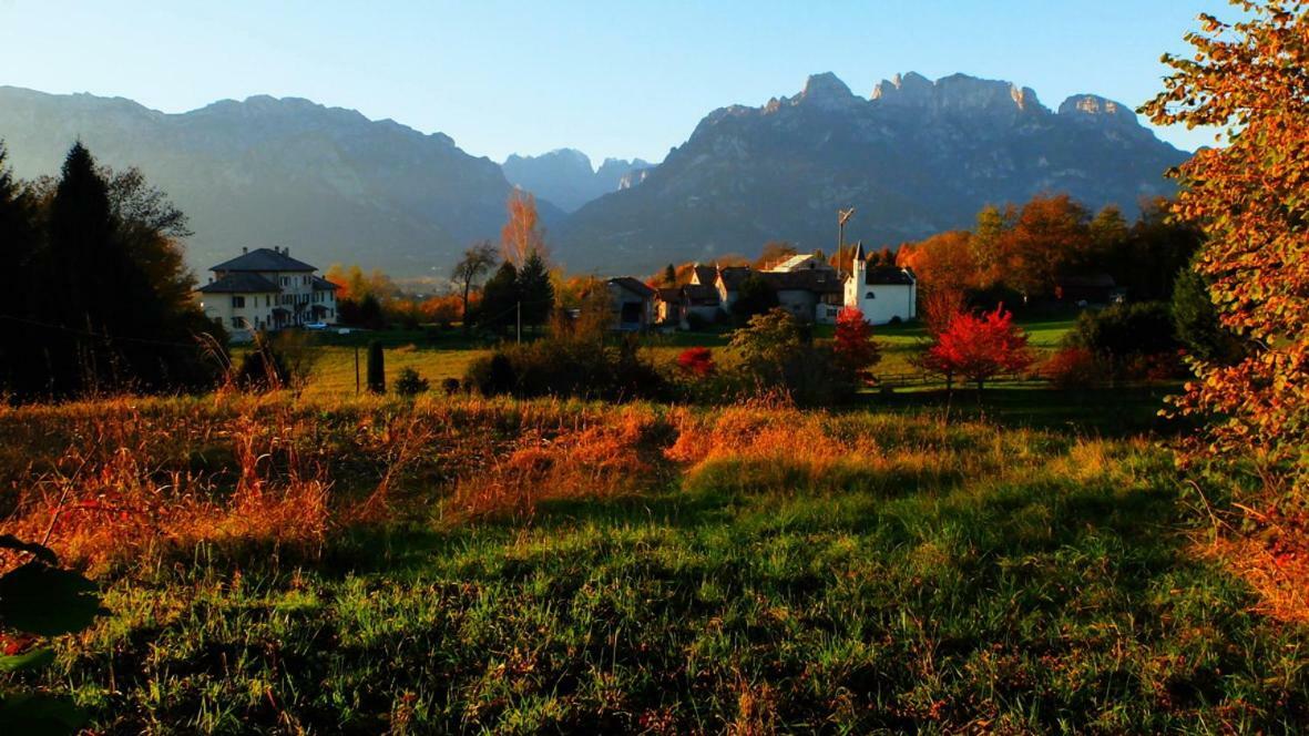 B&B Col Del Vin Belluno Eksteriør billede