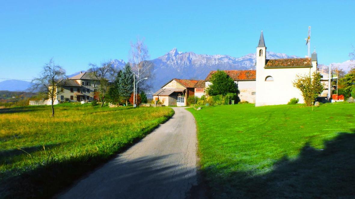 B&B Col Del Vin Belluno Eksteriør billede